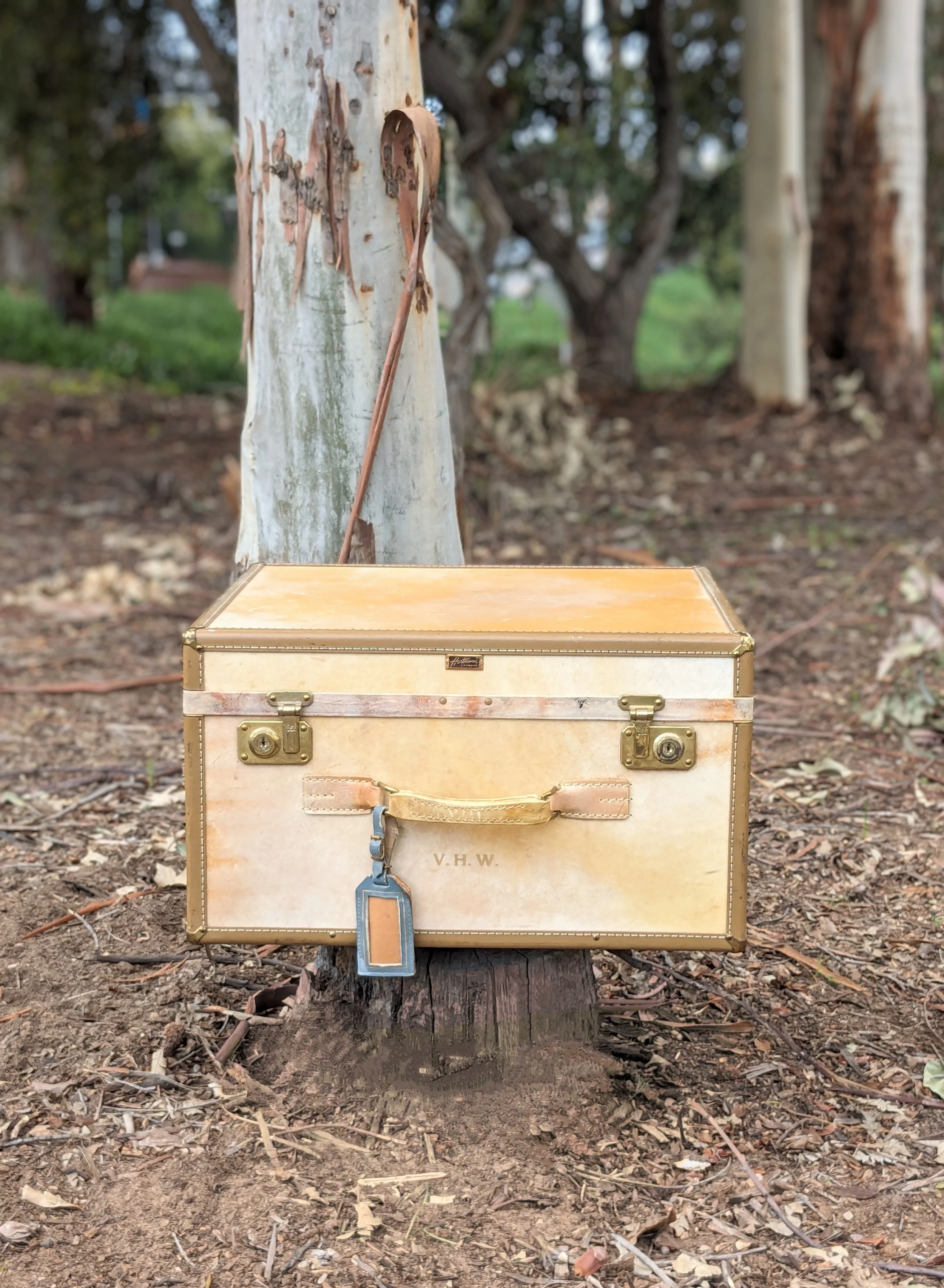 Hartmann luggage vintage suitcase トランク s-l400.jpg